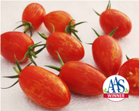Red Torch Hybrid Tomato Seeds