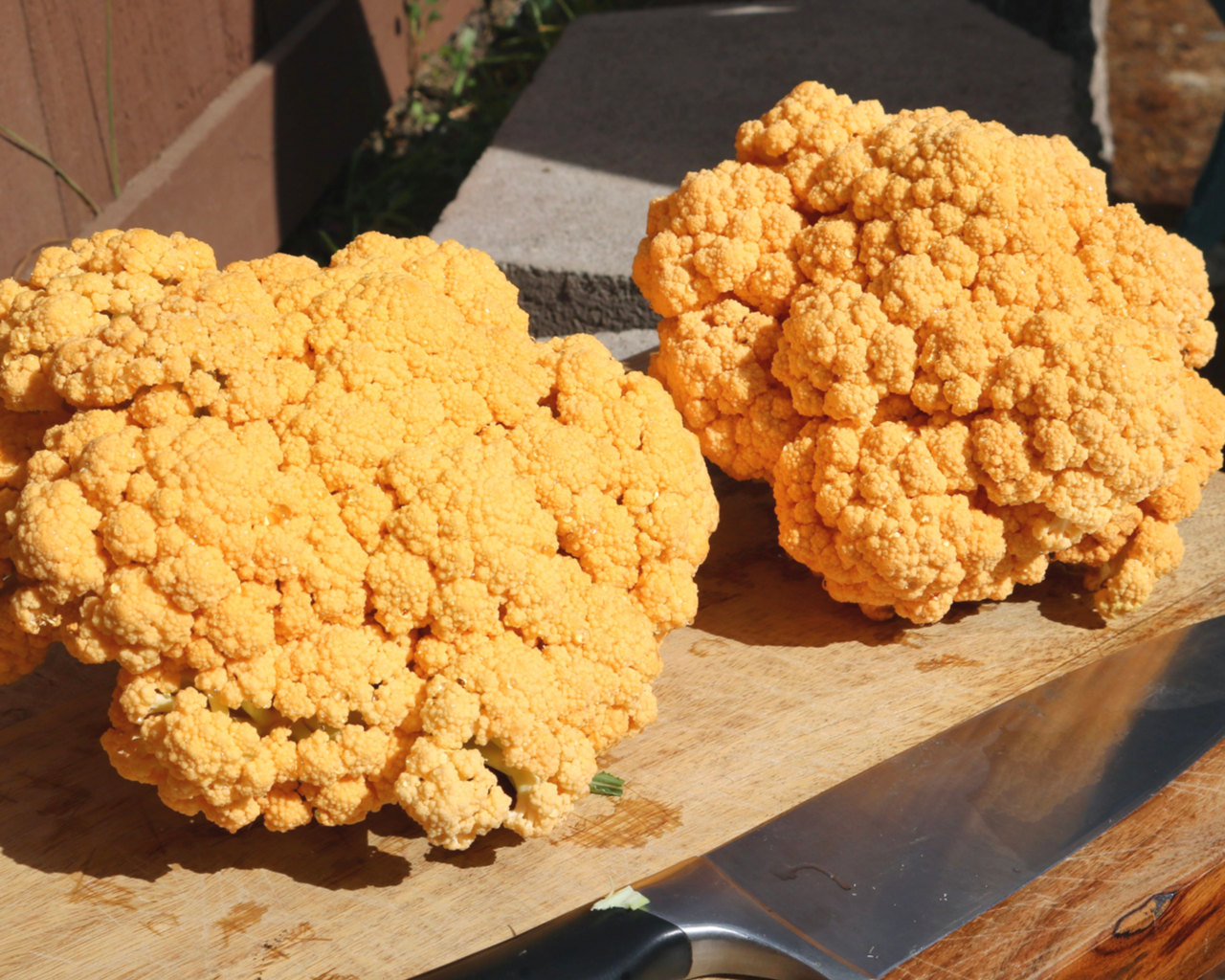 Cheddar Hybrid Cauliflower Seeds