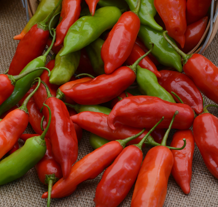 Aji Rico Hybrid Pepper Seeds
