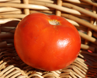 Heatmaster Hybrid Tomato Seeds