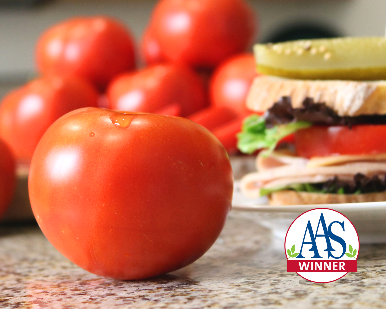 Celebrity Plus Hybrid Tomato Seeds