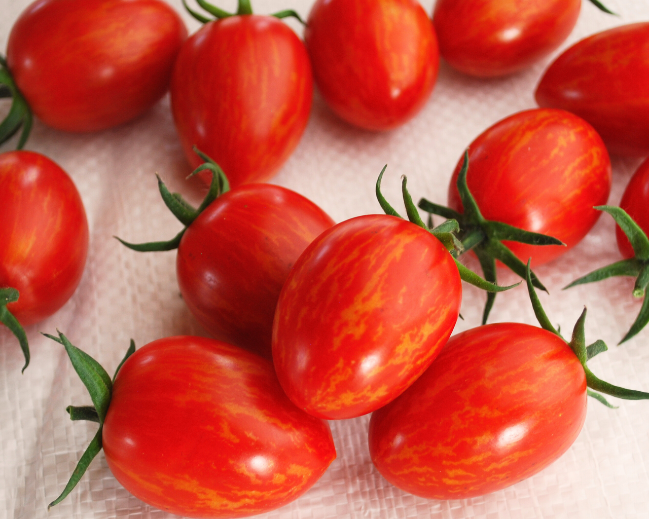 Red Torch Hybrid Tomato Seeds