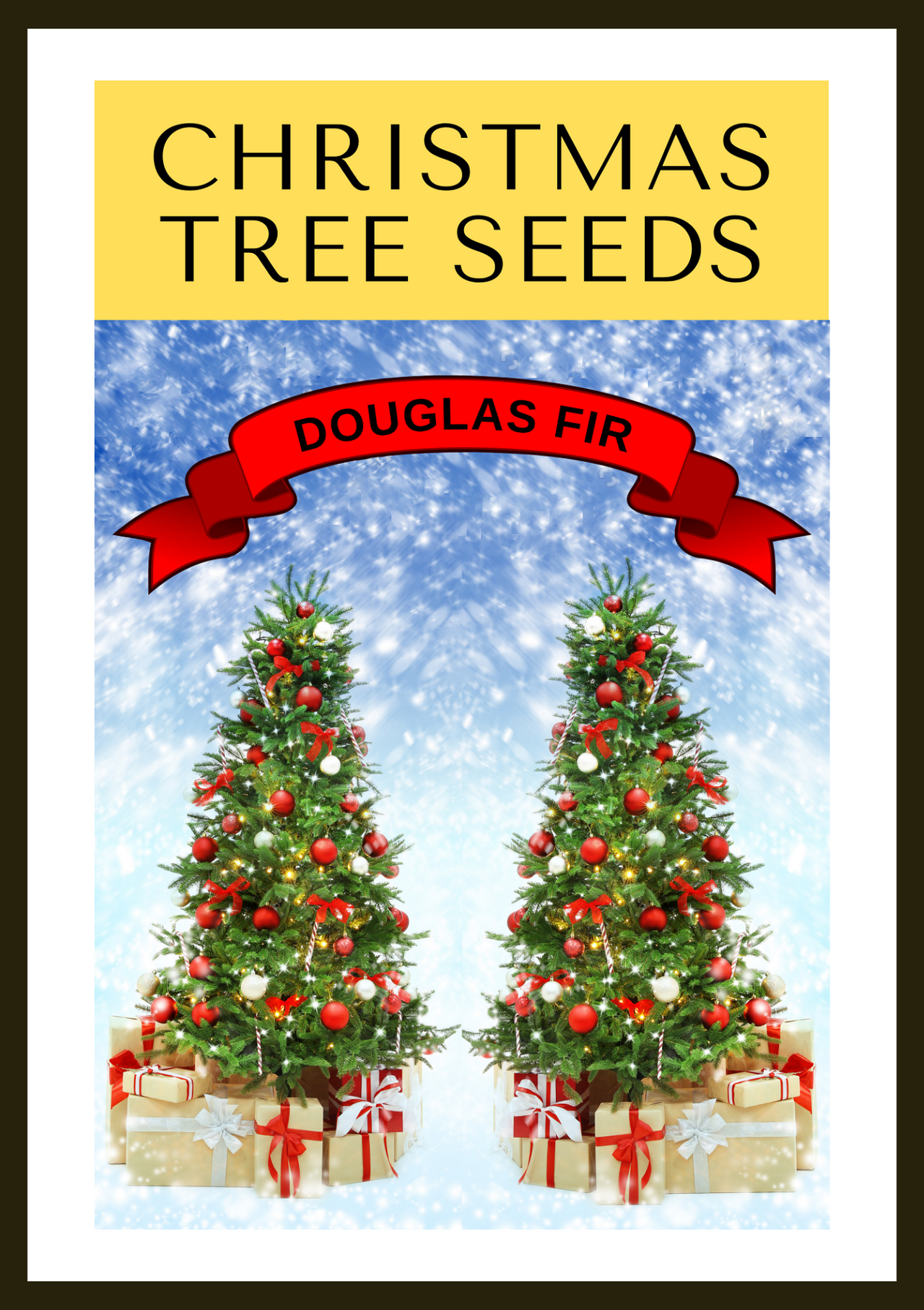 Grow Your Own CHRISTMAS TREE COLLECTION - 4 Gift Packets of Tree Seeds - Fraser Fir, Balsam Fir, Douglas Fir, & Blue Spruce + Free Gift Bag