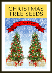 Grow Your Own CHRISTMAS TREE COLLECTION - 4 Gift Packets of Tree Seeds - Fraser Fir, Balsam Fir, Douglas Fir, & Blue Spruce + Free Gift Bag