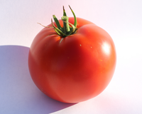 Big Beef Plus Hybrid Tomato Seeds