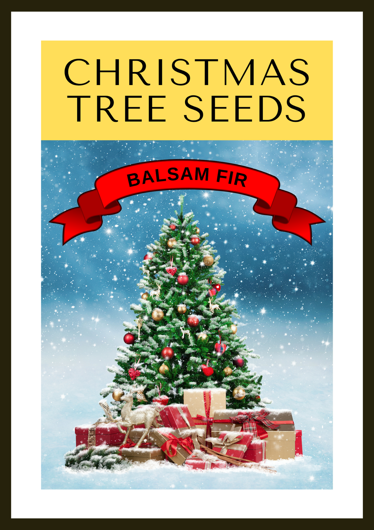 Grow Your Own CHRISTMAS TREE COLLECTION - 4 Gift Packets of Tree Seeds - Fraser Fir, Balsam Fir, Douglas Fir, & Blue Spruce + Free Gift Bag