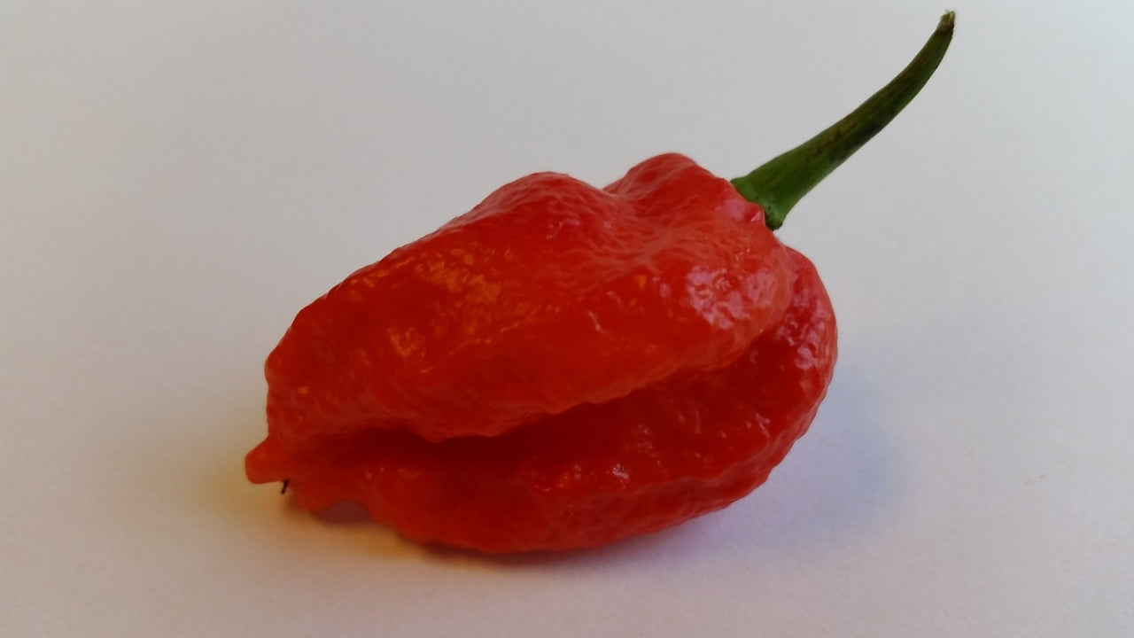 7 Pot Bhutlah Bubblegum Red - Seeds - The Pepper Pantry (Formerly Marie Sharp's)