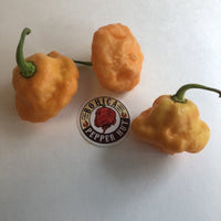 7 Pot Pink - Seeds - The Pepper Pantry (Formerly Marie Sharp's)