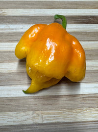 7 Pot Primo Yellow - Seeds - The Pepper Pantry (Formerly Marie Sharp's)
