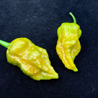 7 Pot Slimer - Seeds - The Pepper Pantry (Formerly Marie Sharp's)
