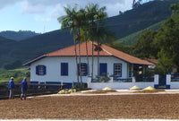 Brazil Decaf