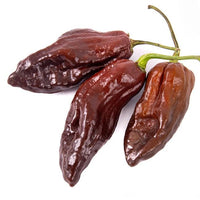 Chocolate Bhutlah Pepper Seeds