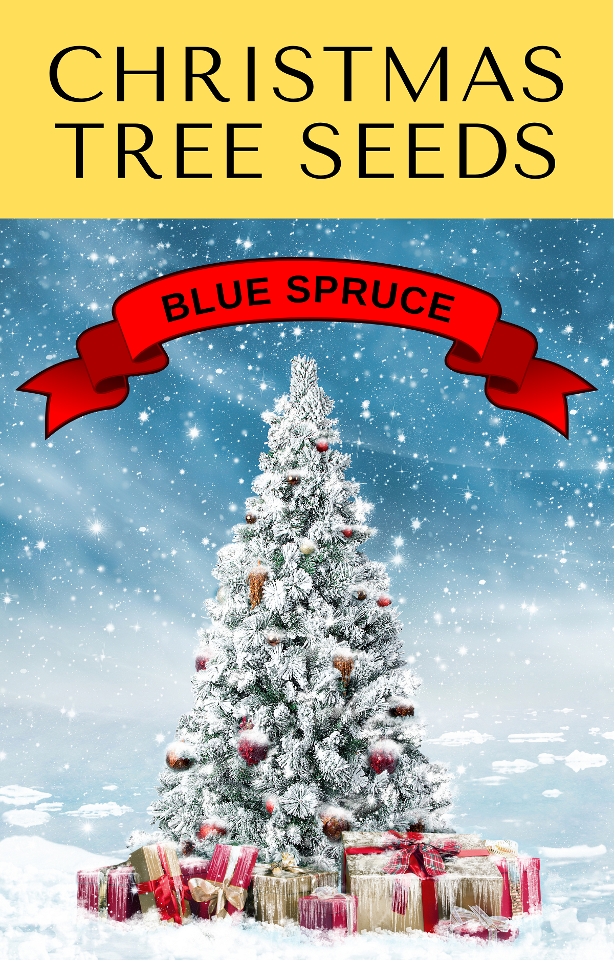 50 Colorado BLUE SPRUCE Tree Picea Pungens Glauca Christmas Tree White Silver Spruce Evergreen Seeds