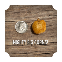 CRUNCHIN' CORN - VARIETY PACK
