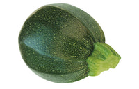 Eight Ball Hybrid Zucchini Squash Seeds