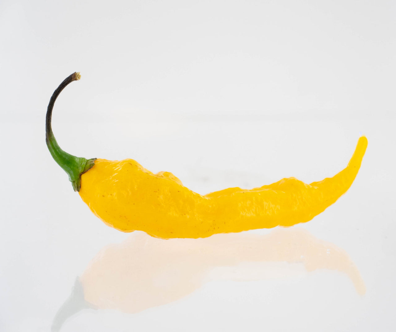 Fatalii Pepper Seeds