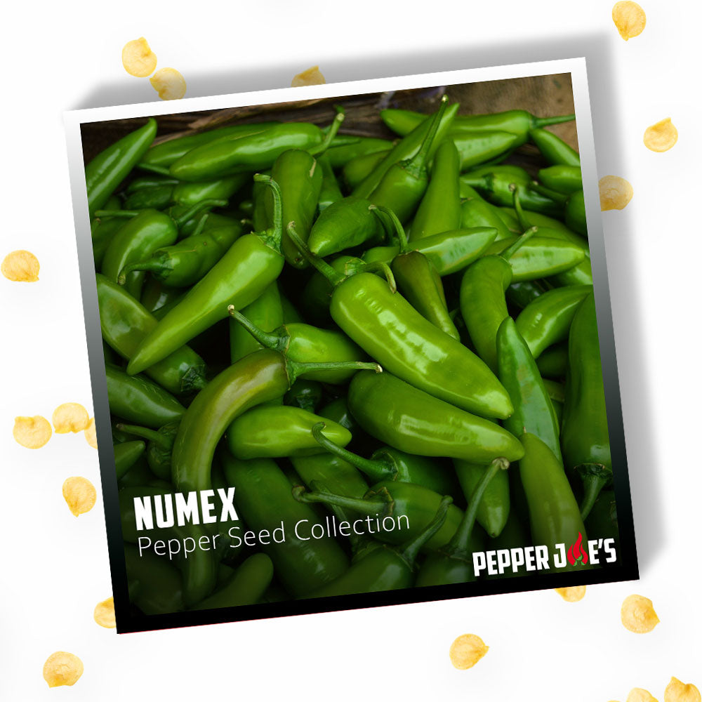 NuMex Pepper Seed Collection