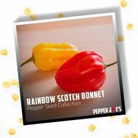 Rainbow Scotch Bonnet Pepper Seed Collection