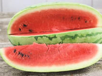 Georgia Rattlesnake Watermelon Seeds