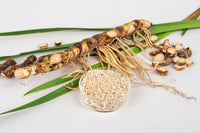 250 SWEET FLAG GRASS Wetland Pond Acorus Calamus Ornamental Seeds