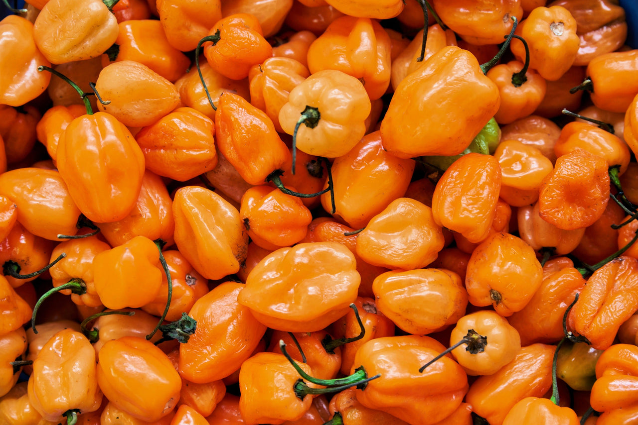 50 Hot ORANGE HABANERO PEPPER Capsicum Chinense Vegetable Seeds