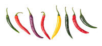 100 MIXED CAYENNE PEPPER Yellow Purple Orange Red Green Capsicum Vegetable Seeds