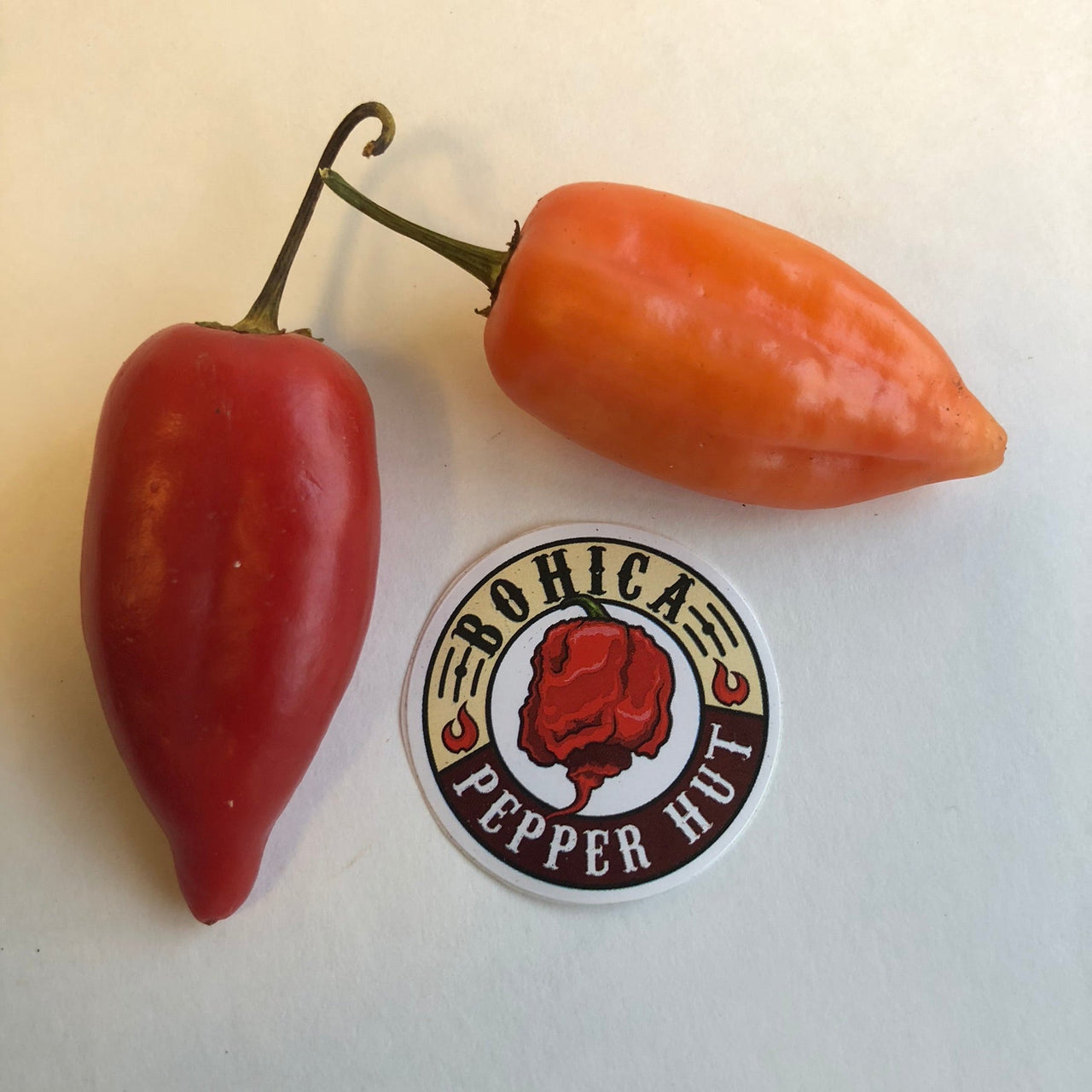 Aji Benito - Seeds - The Pepper Pantry (Formerly Marie Sharp's)
