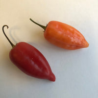Aji Benito - Seeds - The Pepper Pantry (Formerly Marie Sharp's)