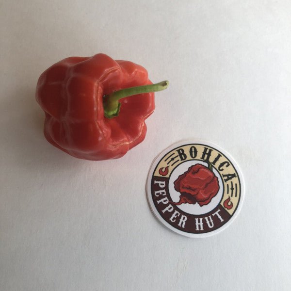 Aji Chombo - Seeds - The Pepper Pantry (Formerly Marie Sharp's)