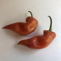 Aji Crystal - Seeds - The Pepper Pantry (Formerly Marie Sharp's)