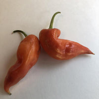Aji Crystal - Seeds - The Pepper Pantry (Formerly Marie Sharp's)