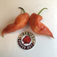 Aji Crystal - Seeds - The Pepper Pantry (Formerly Marie Sharp's)