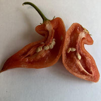 Aji Crystal - Seeds - The Pepper Pantry (Formerly Marie Sharp's)