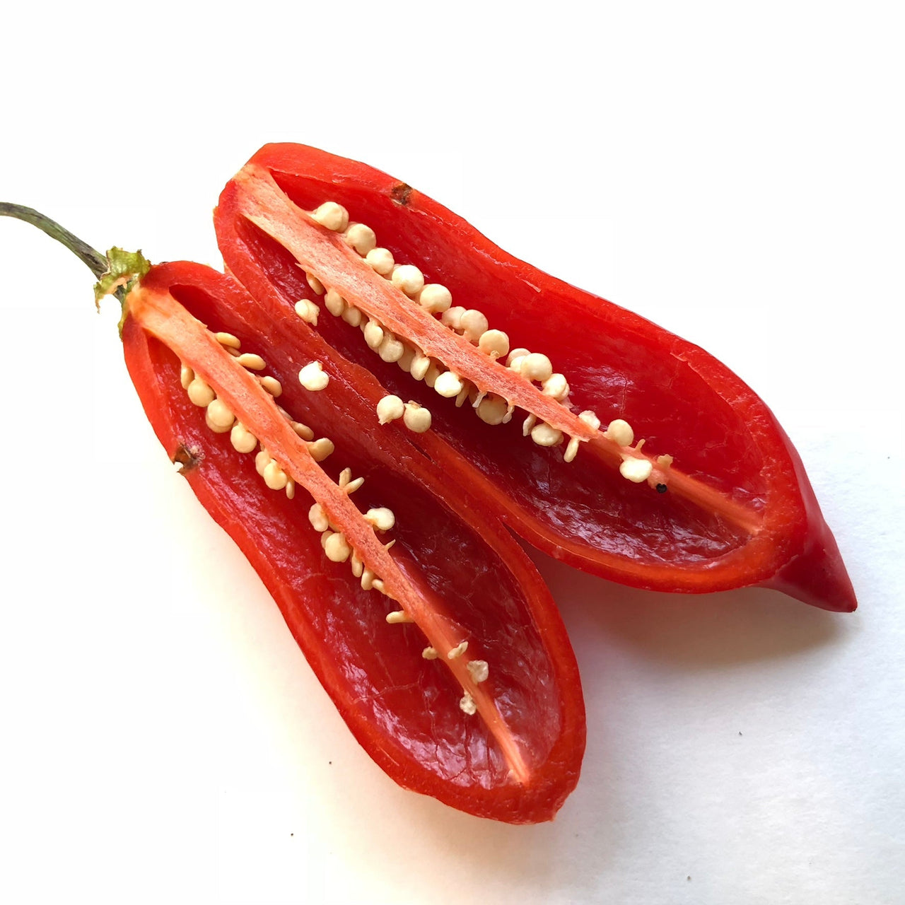 Aji Sugar Rush Red - Seeds - The Pepper Pantry (Formerly Marie Sharp's)