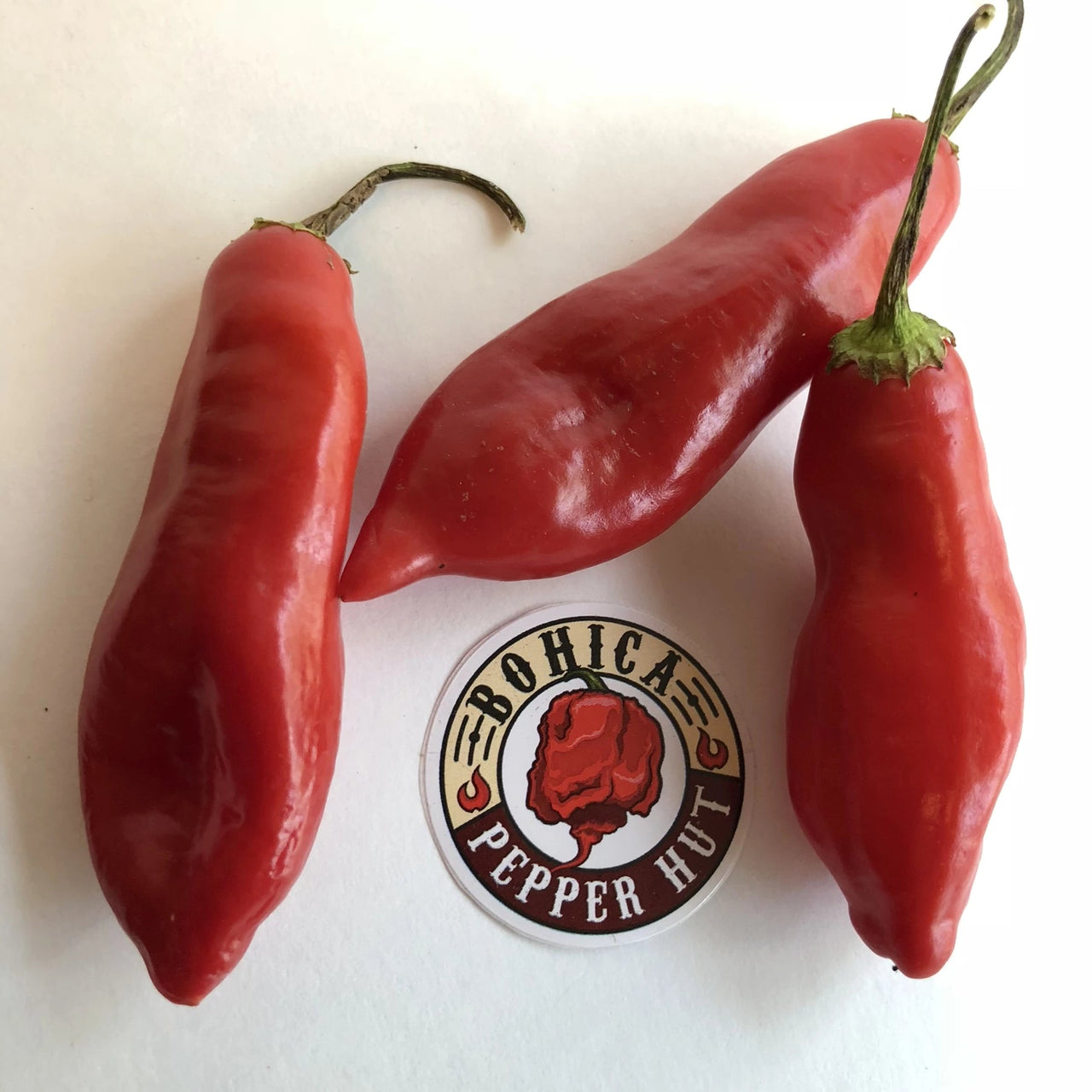 Aji Sugar Rush Red - Seeds - The Pepper Pantry (Formerly Marie Sharp's)