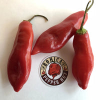 Aji Sugar Rush Red - Seeds - The Pepper Pantry (Formerly Marie Sharp's)