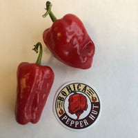 Aleppo - Seeds - The Pepper Pantry (Formerly Marie Sharp's)