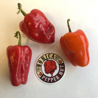 Aleppo - Seeds - The Pepper Pantry (Formerly Marie Sharp's)