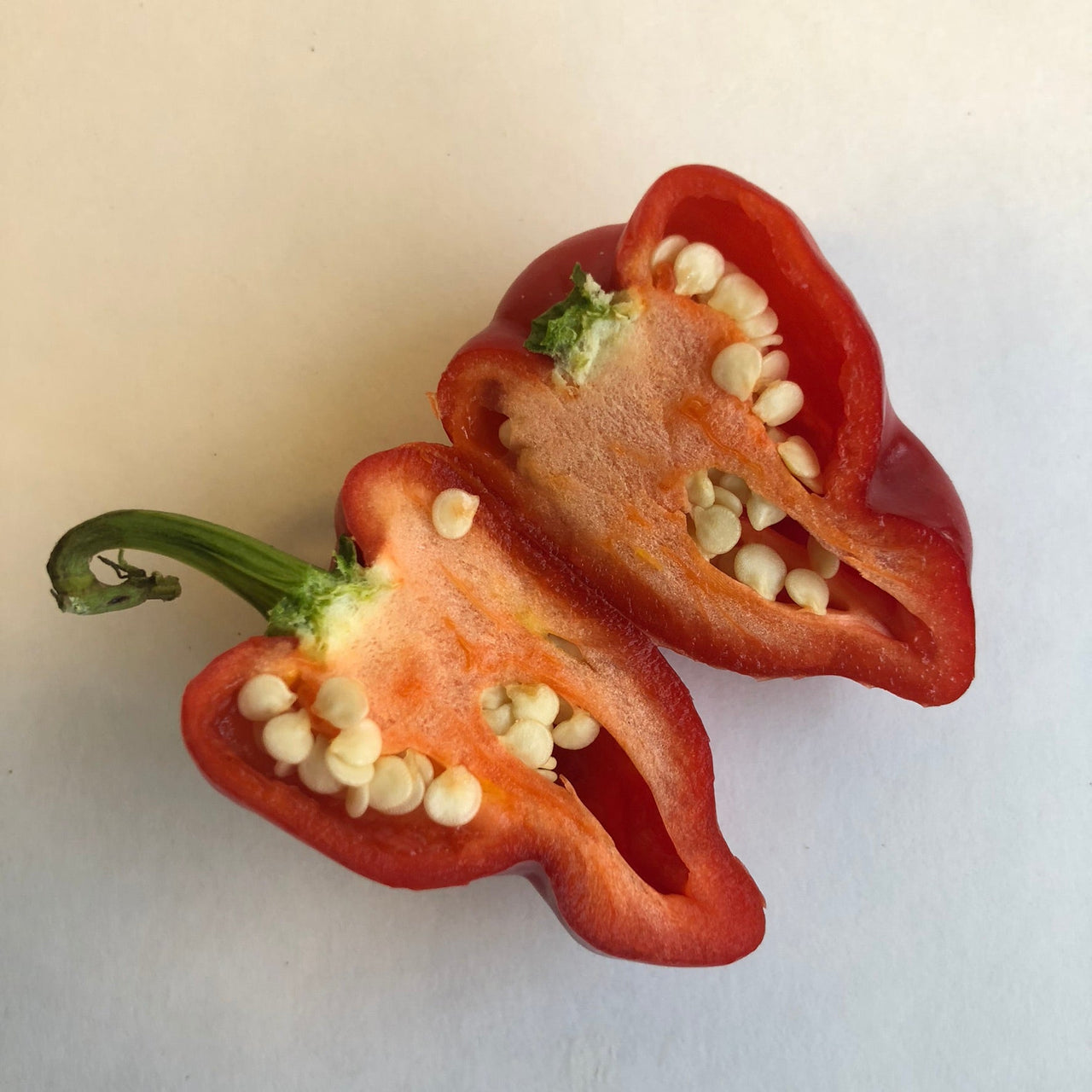 Aleppo - Seeds - The Pepper Pantry (Formerly Marie Sharp's)