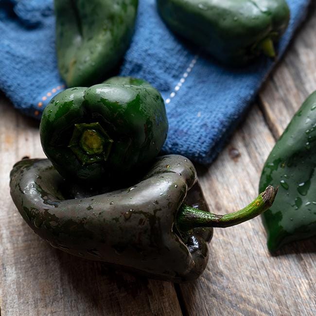 Ancho Poblano Pepper Seeds - The Pepper Pantry (Formerly Marie Sharp's)