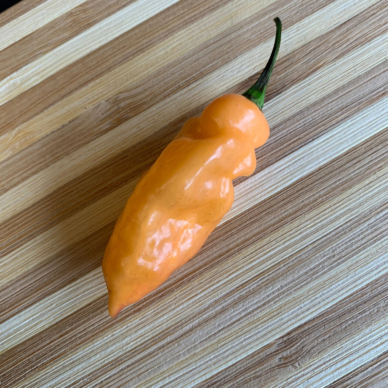 Bhut Jolokia Peach x Pimenta de Neyde - Seeds - The Pepper Pantry (Formerly Marie Sharp's)