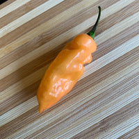 Bhut Jolokia Peach x Pimenta de Neyde - Seeds - The Pepper Pantry (Formerly Marie Sharp's)