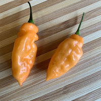 Bhut Jolokia Peach x Pimenta de Neyde - Seeds - The Pepper Pantry (Formerly Marie Sharp's)