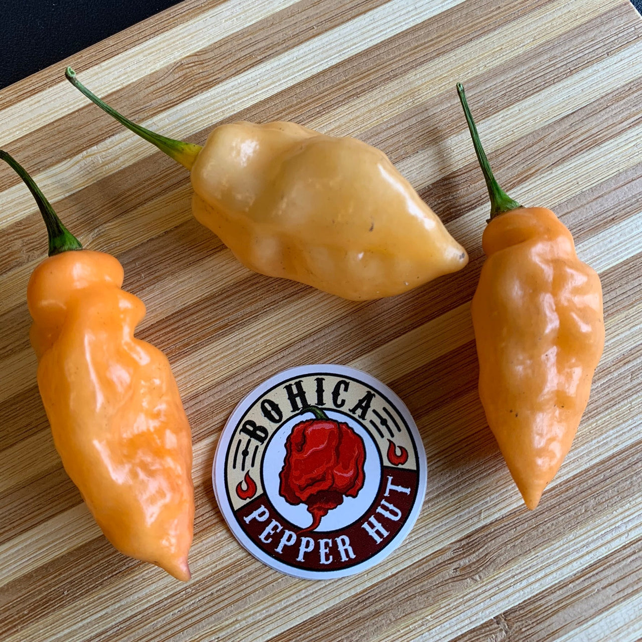 Bhut Jolokia Peach x Pimenta de Neyde - Seeds - The Pepper Pantry (Formerly Marie Sharp's)