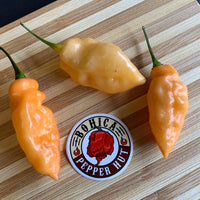 Bhut Jolokia Peach x Pimenta de Neyde - Seeds - The Pepper Pantry (Formerly Marie Sharp's)