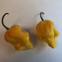 Big Yellow Mama - Seeds - The Pepper Pantry (Formerly Marie Sharp's)