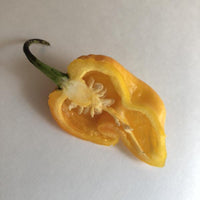 Big Yellow Mama - Seeds - The Pepper Pantry (Formerly Marie Sharp's)
