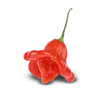 Bishops Crown Pepper Seeds - The Pepper Pantry (Formerly Marie Sharp's)