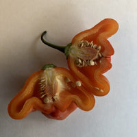 Bishops Crown - Seeds - The Pepper Pantry (Formerly Marie Sharp's)