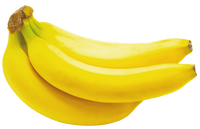 Double Mahoi Dwarf Banana Plant